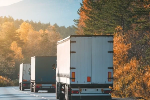 Giresun Zonguldak Nakliyat